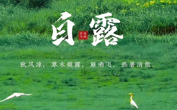 永宁白露清新，新创洁与您共享洁净之美